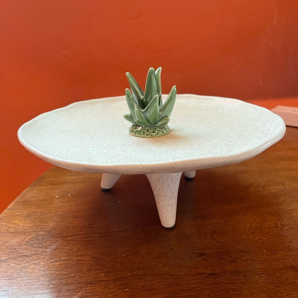 Cactus platter handmade 🌵 🏜️